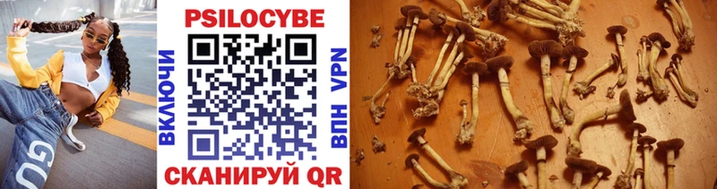 что такое наркотик  Орск  Галлюциногенные грибы Cubensis 